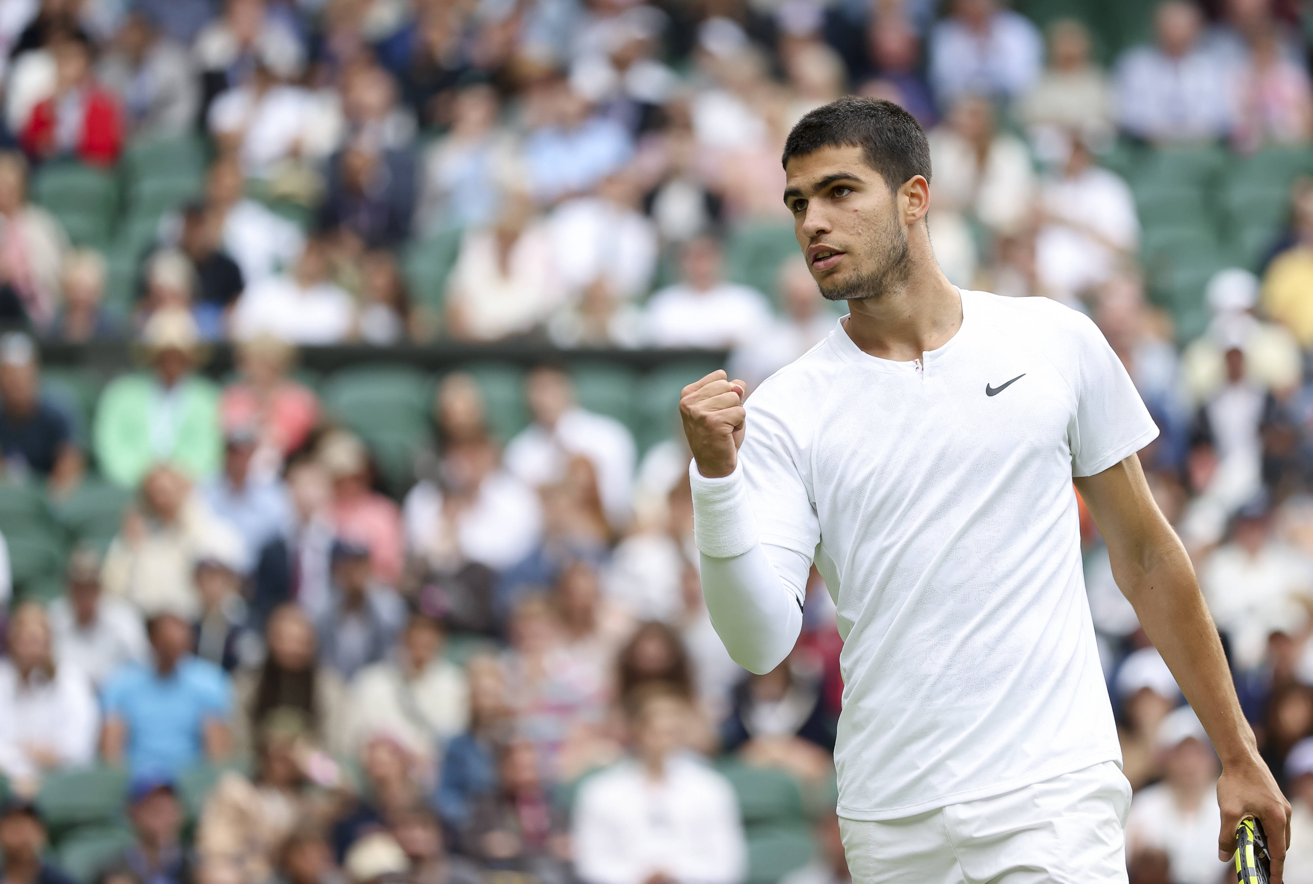 引了多国青 引了多国青