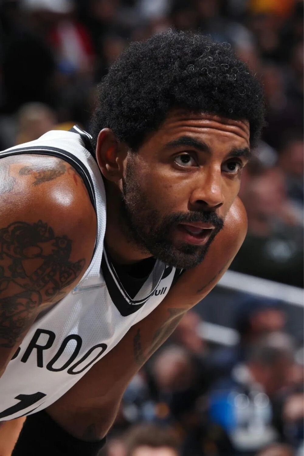 快船的胜利 快船的胜利